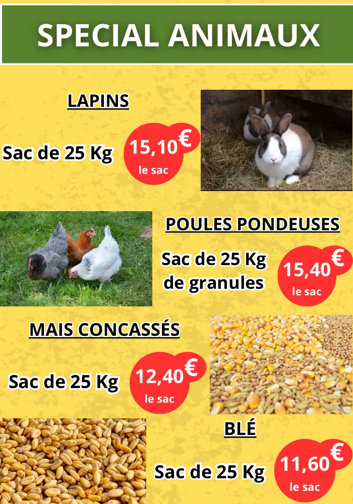 pub-pouilloux-101025161027
