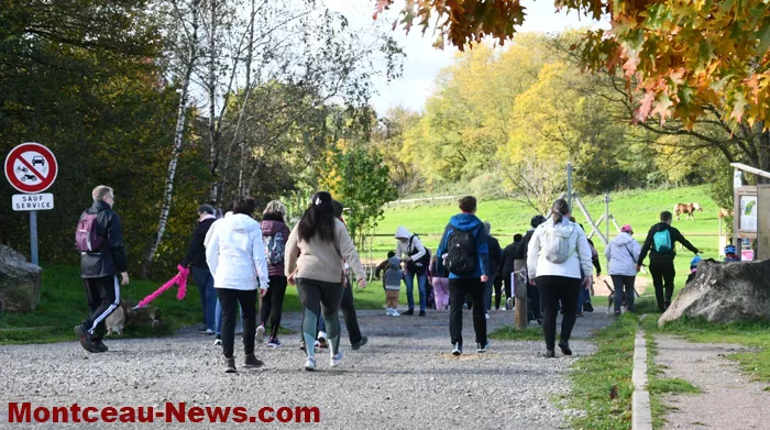 rose-montceau-2710254