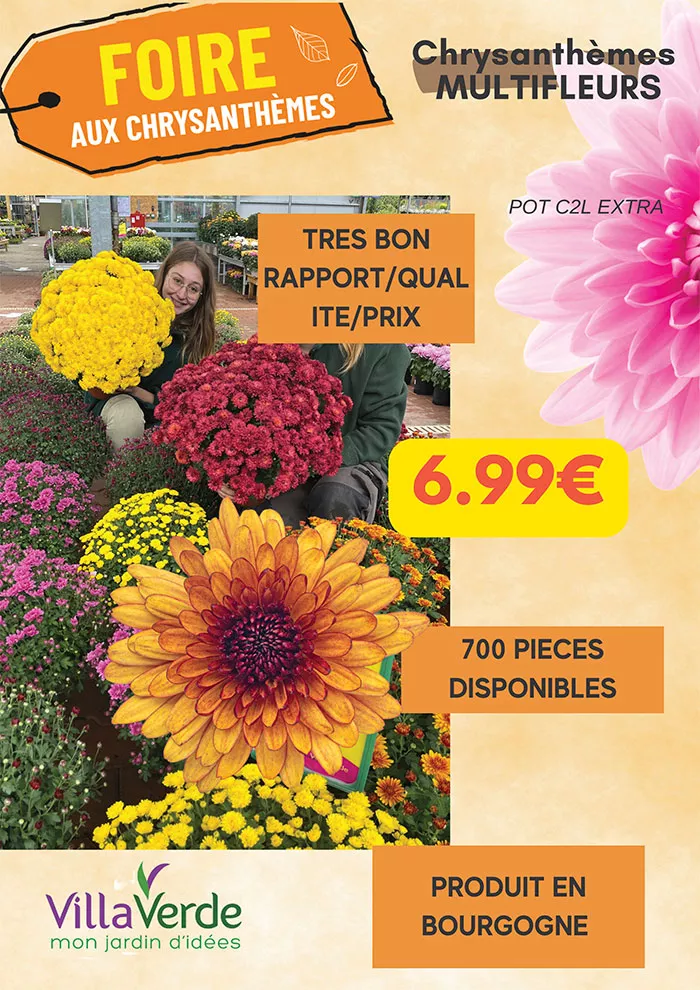 villaverde-2310254