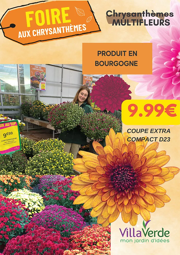 villaverde-2310255