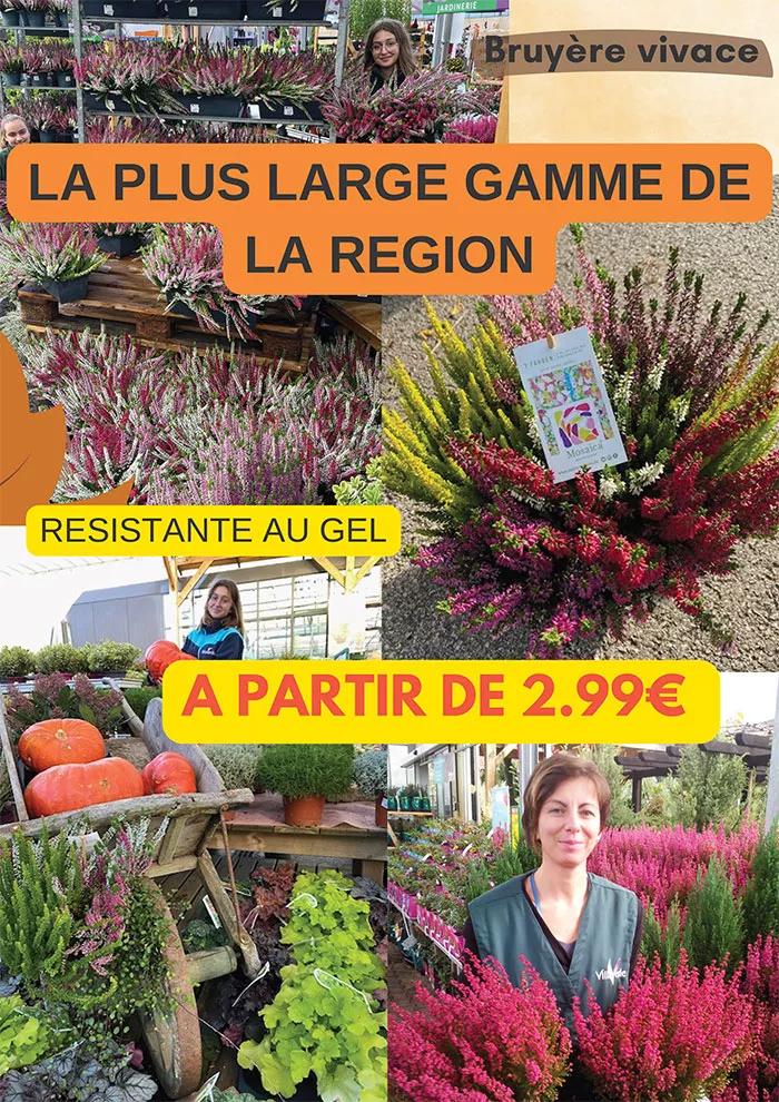 villaverde-2310259