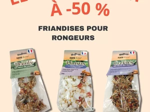 villaverde-animaux-111025