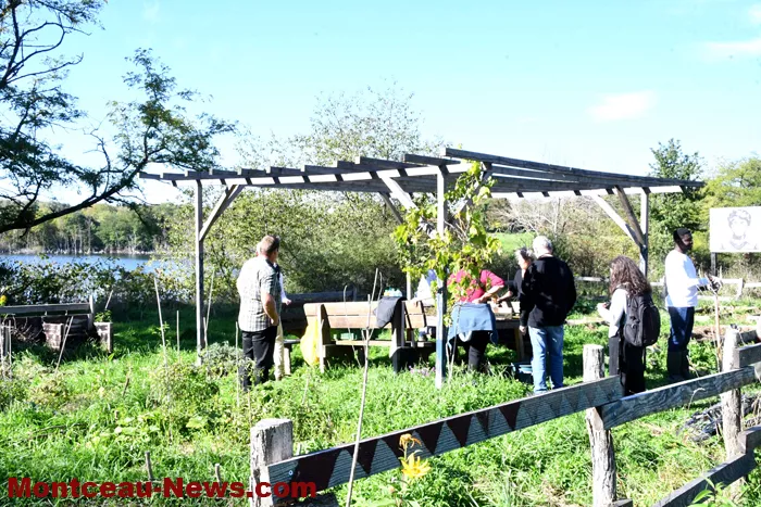 visite-foret-comesible-081025161024