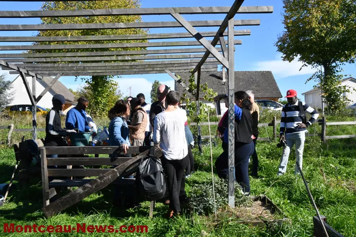 visite-foret-comesible-081025161027