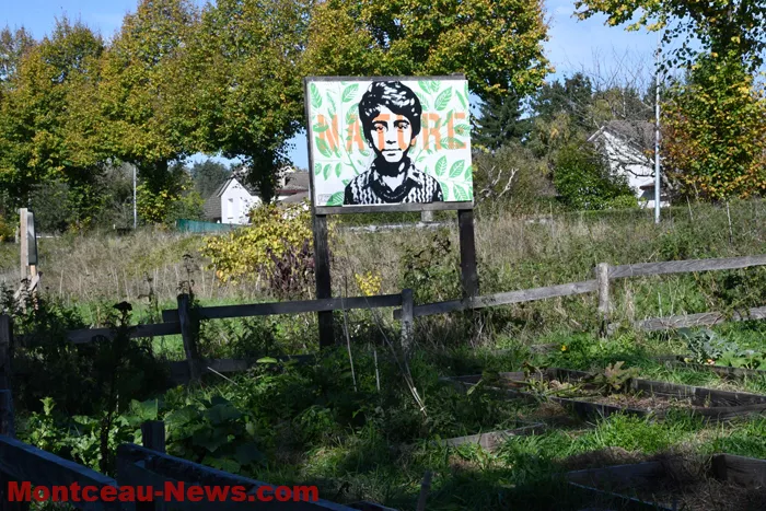 visite-foret-comesible-081025161028