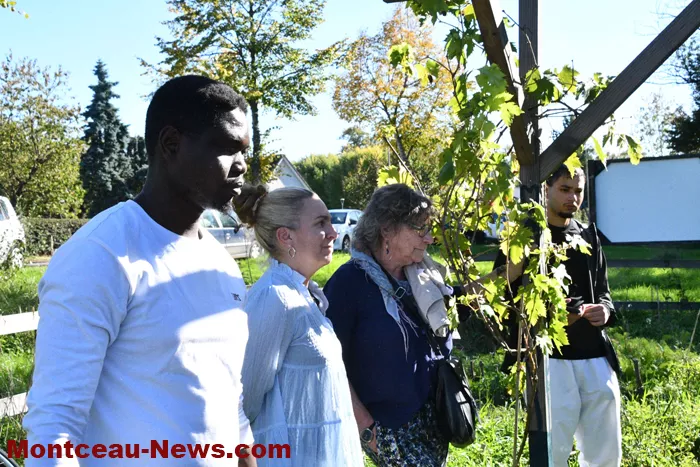 visite-foret-comesible-081025161032