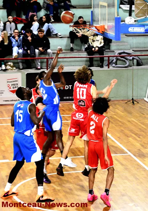 basket-montceau-24112530