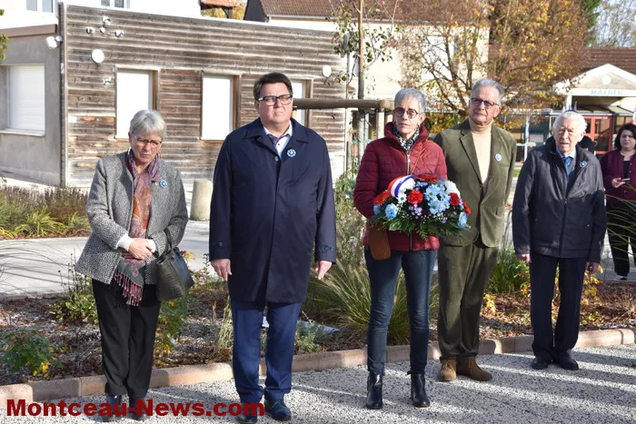 bizots-comemo-11112527