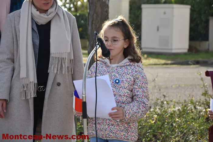 bizots-comemo-11112537