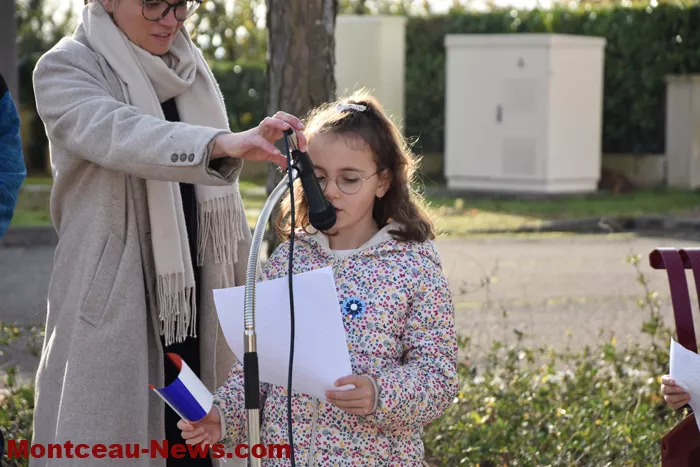 bizots-comemo-11112538