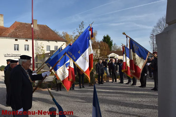 bizots-comemo-11112543