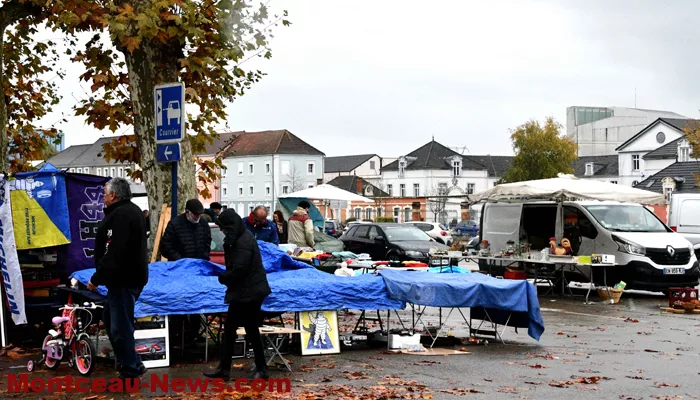 broc-bouquinerie-0311251