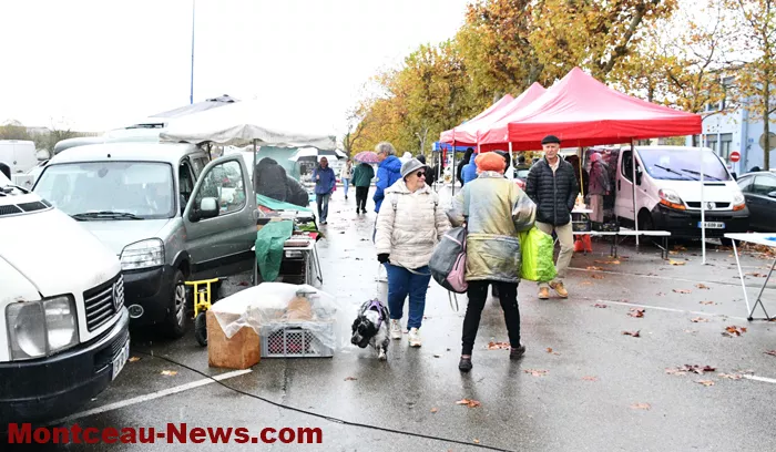 broc-bouquinerie-0311255