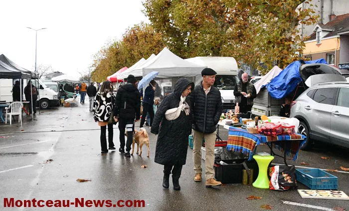 broc-bouquinerie-0311256