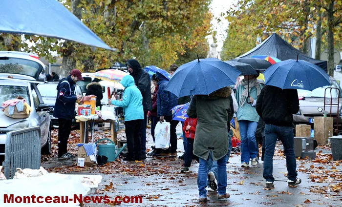 broc-bouquinerie-0311257