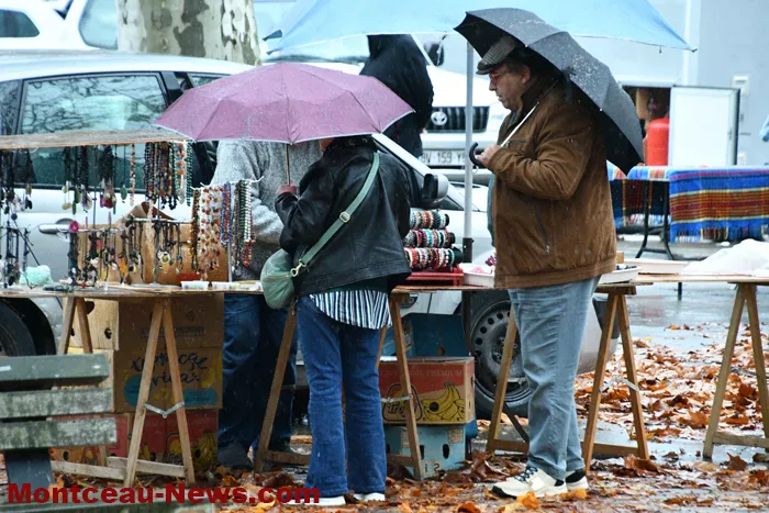 broc-bouquinerie-0311258