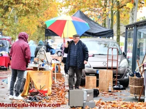 broc-bouquinerie-0311259