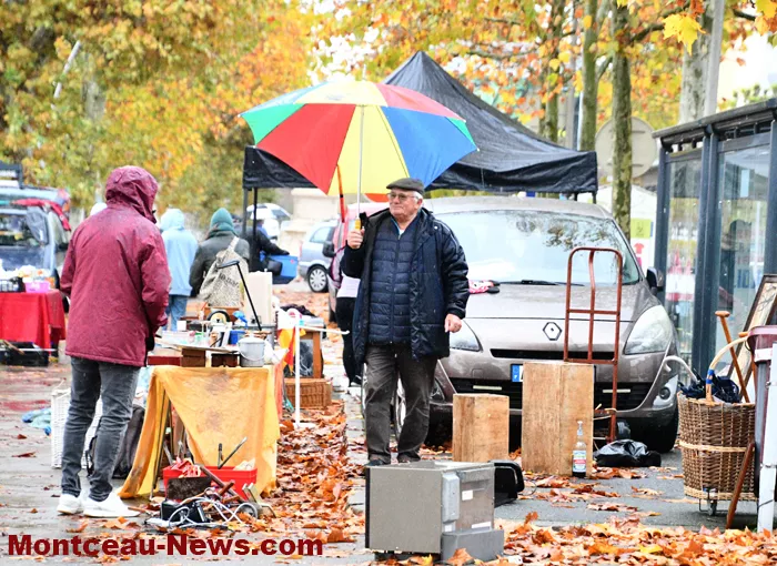 broc-bouquinerie-0311259