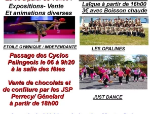 ciry-telethon-221125