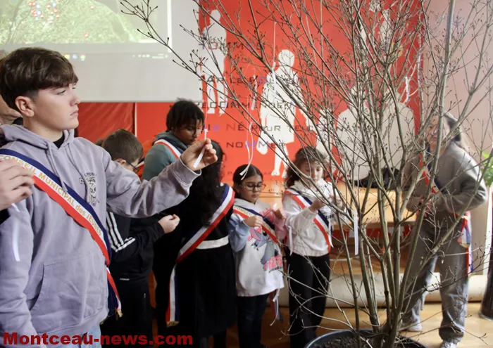 commemo-liberation-28112521