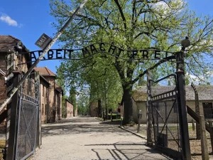 festival-video-2711251