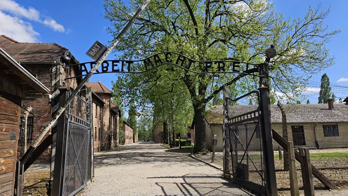 festival-video-2711251