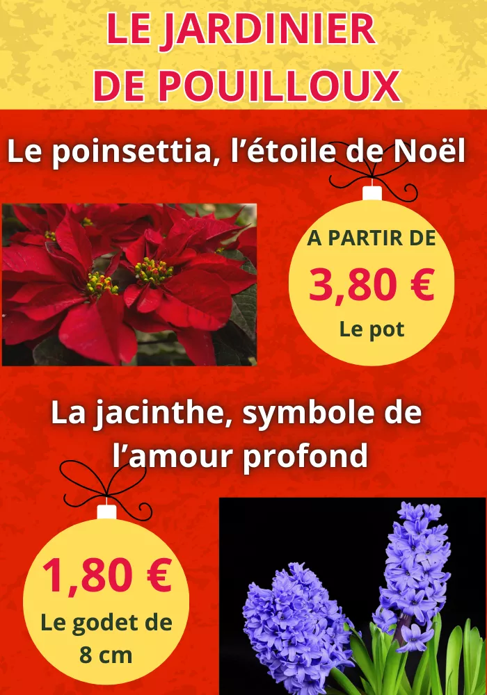 jardin-pouilloux-2711252