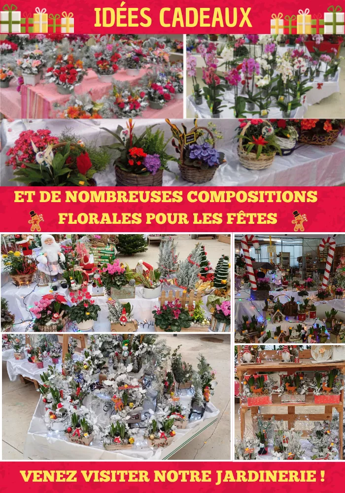 jardin-pouilloux-2711253