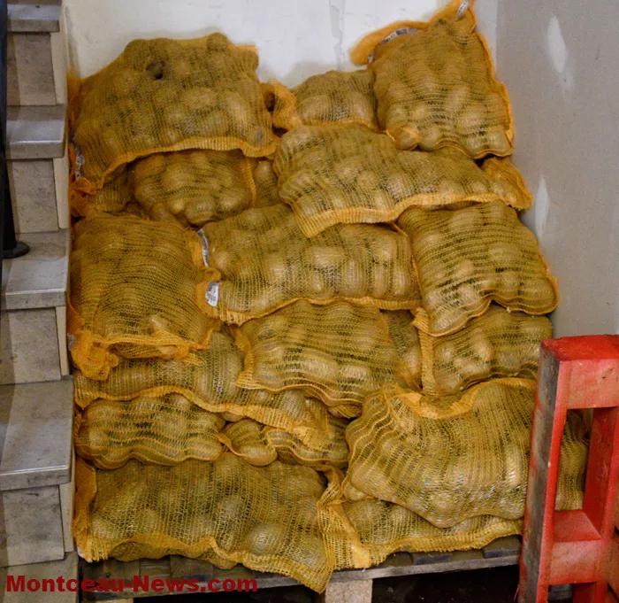 lions-solidaire-1311255