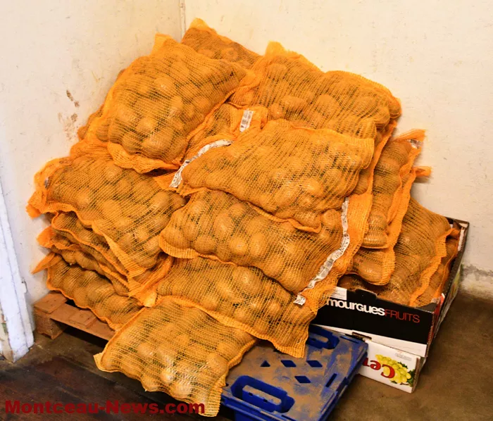 lions-solidaire-1311256