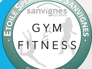 logo-gym-sanv-251125