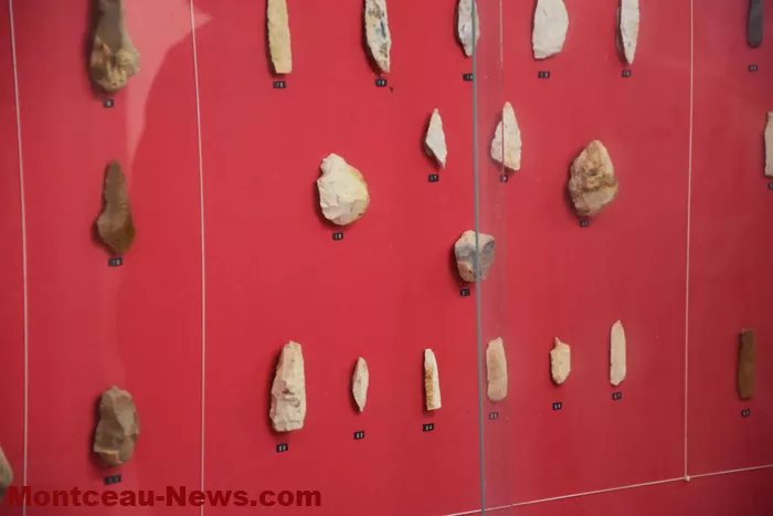 lumiere-mt-st-vincent-29112527