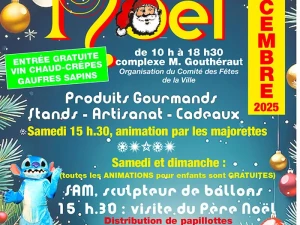 marche-noel-bourbon-lancy-141125