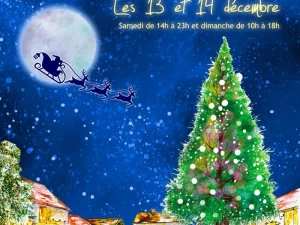 marche-noel-sanvignes-261125