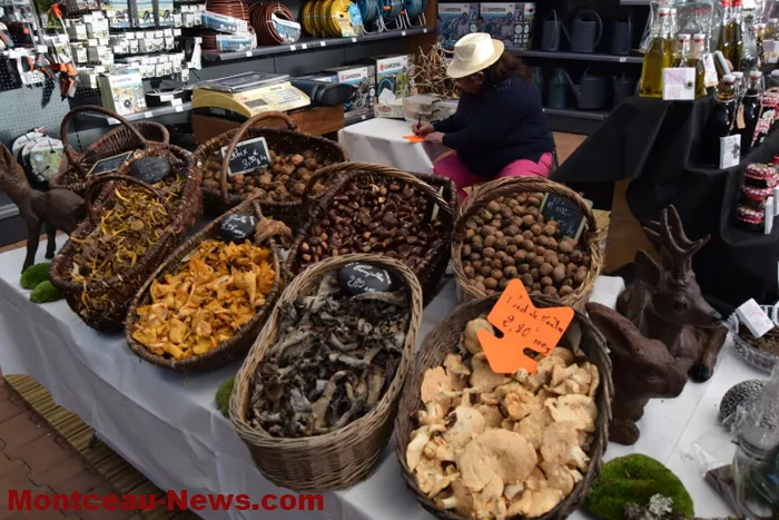 marche-veillaverde-15112518