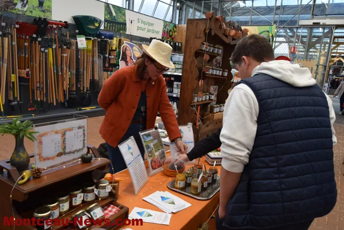 marche-veillaverde-15112521