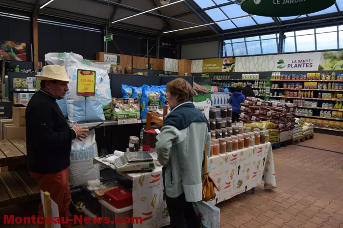 marche-veillaverde-15112526