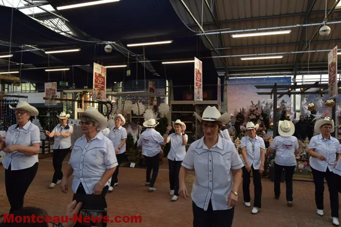 marche-veillaverde-1511253