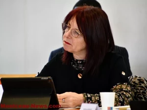 opposition-conseil-montceau-0611254