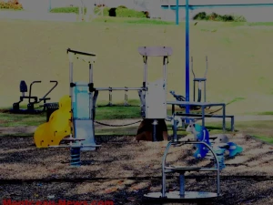 photo-conseil-montceau--0511254