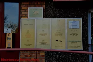 Conseil municipal de Montceau-les-Mines : Habellis demande deux garanties d’emprunt   