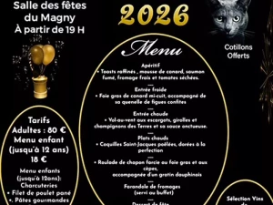 reveillon-felin-161125