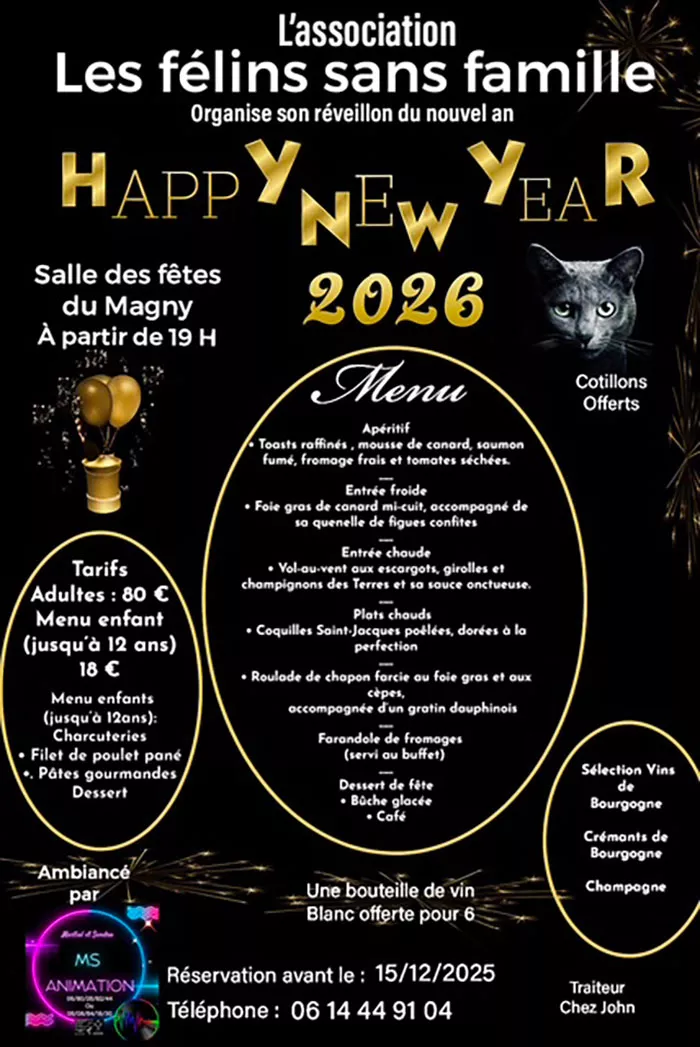 reveillon-felin-161125