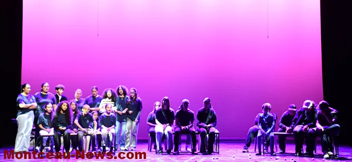 scolaire-harcellement-police-26112515