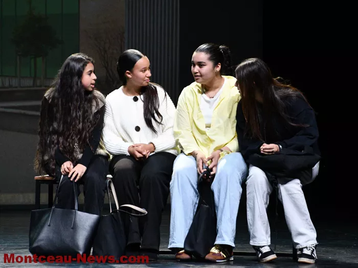 scolaire-harcellement-police-2611253