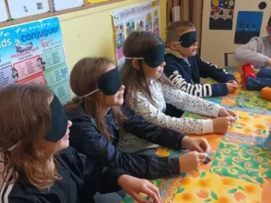 valentin-hauy-2311255