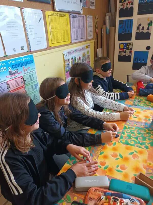 valentin-hauy-2311255