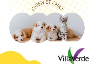 Villaverde (Montceau – Gourdon)