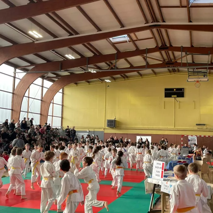 ad-judo-0412252