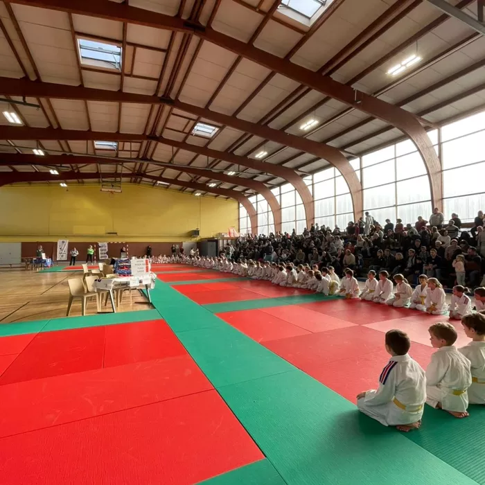 ad-judo-0412255